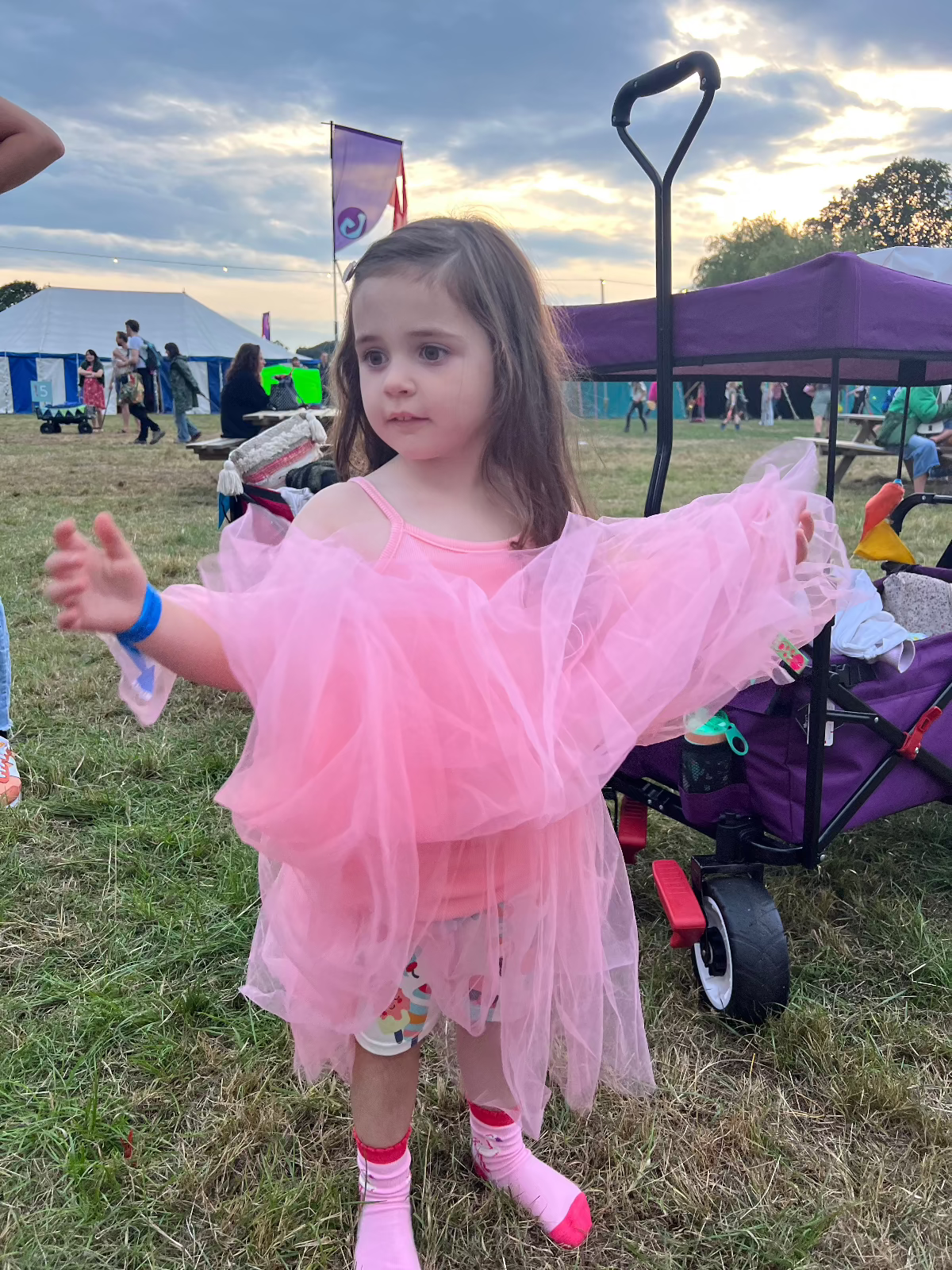 Robe De Fee Tutu Dress - Candy Floss Pink